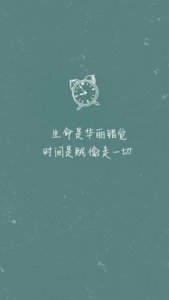 ​一起走下去暖心的句子 求收集一句很暖心很经典的句子