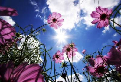 ​伤感的优美句子188个