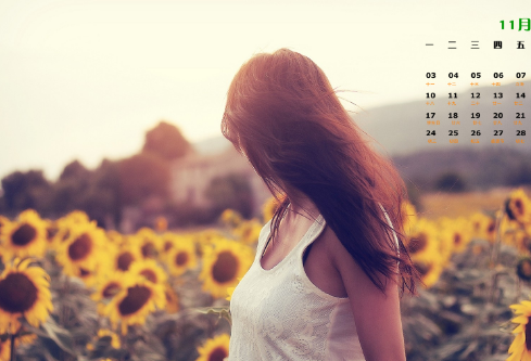 1715757041822815.png image.png