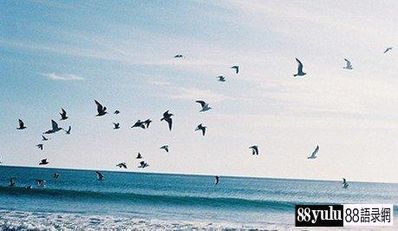 关于大海的伤感短句 描写大海的优美 、伤感的句子