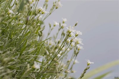 ​心里憋屈想哭的句子短句（心里憋屈想哭的伤感句子，句句落寞，总有几句让