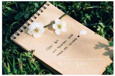 ​伤感短语 昙花一现伤感短语(精选57句)