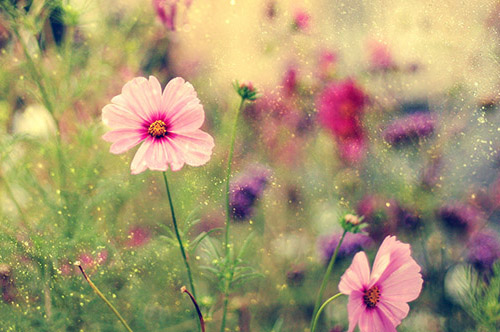 交友不慎的伤感句子49句