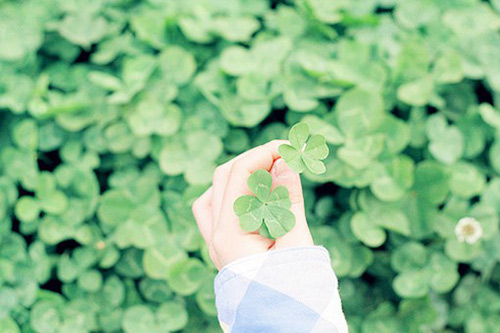 缘分已尽的伤感句子 缘尽缘散的句子(43句)