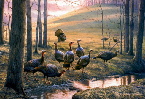 1688372133113380.png image.png