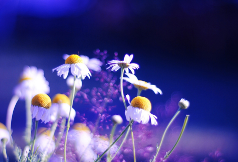 1688372299699661.png image.png