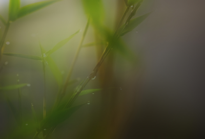 ​重阳节对老人的祝福语(精选90句)