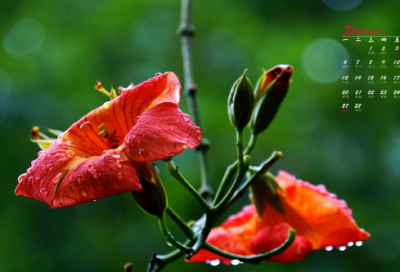 ​给做生意的祝福语 祝做生意的祝福语(精选85句)