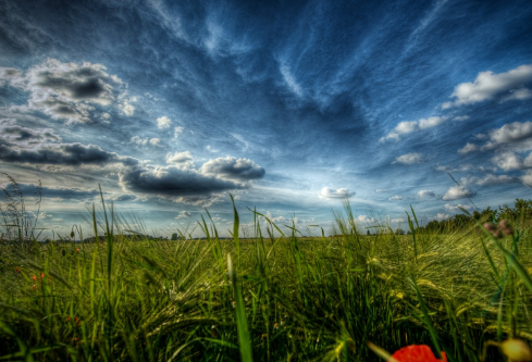 1688373792658381.png image.png