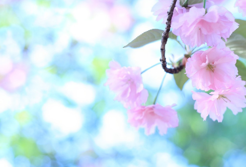 1688376614150819.png image.png