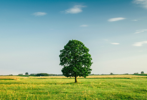 1688376946197905.png image.png