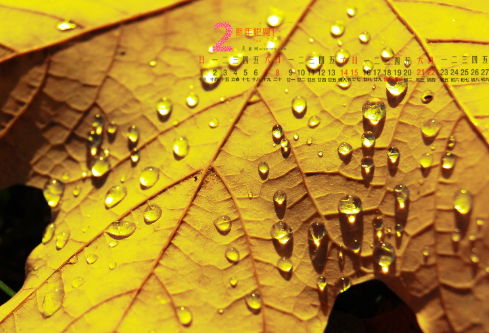 1688378937886142.png image.png