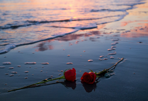 1688379268146823.png image.png