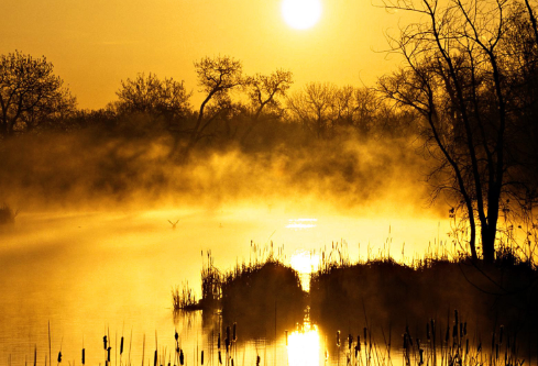 1688380098509230.png image.png