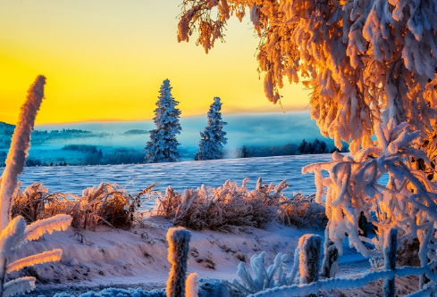 1688381259201293.png image.png