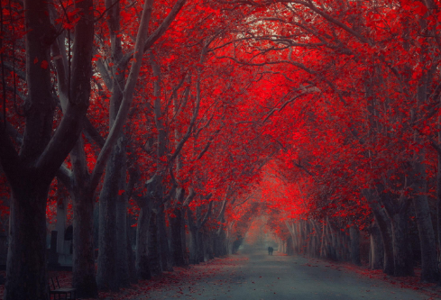 1688382254689609.png image.png