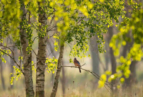 1688383920824819.png image.png