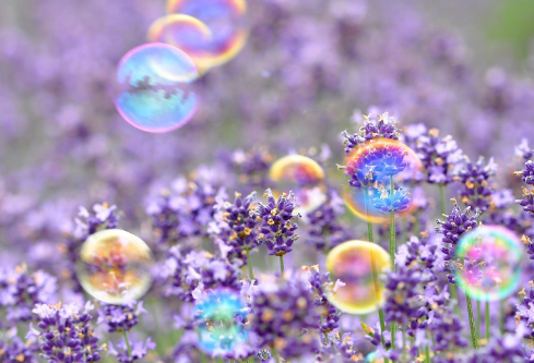 1688384087951747.png image.png