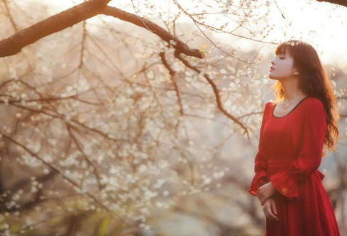 1688384755688013.png image.png