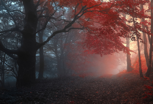 1688385590335501.png image.png