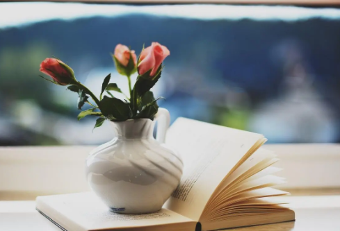 1688386259282621.png image.png