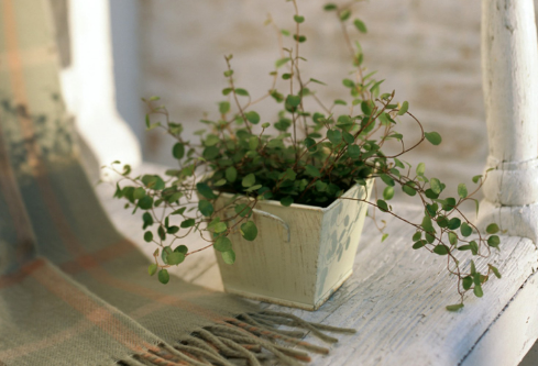 1688386426552784.png image.png