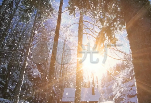 1688386760215955.png image.png