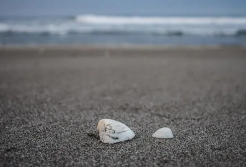 1688386927406470.png image.png