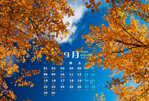 1688387094119080.png image.png