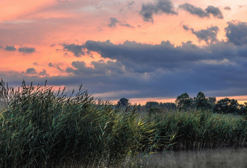 1688387929657381.png image.png