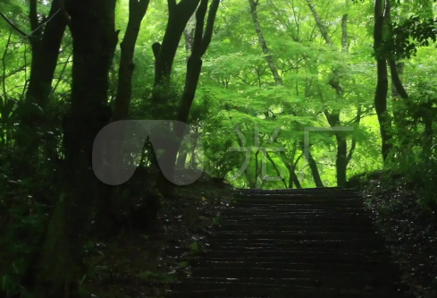 1688388263757924.png image.png