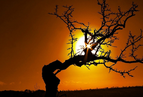 1688391432574234.png image.png