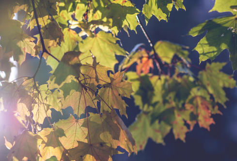 1688391933247556.png image.png