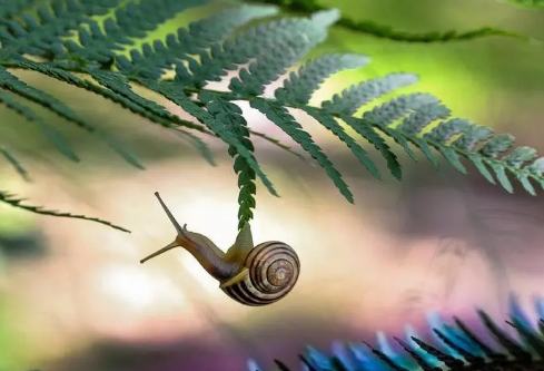 1688394765998261.png image.png