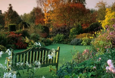 1688396091445500.png image.png