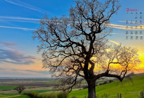 1688397914417288.png image.png