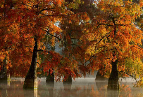 1688399240635846.png image.png