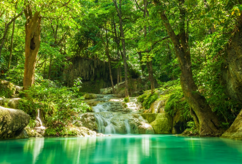 1688399738227463.png image.png