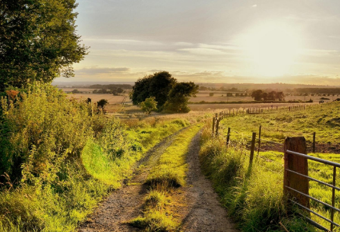 1688400235780490.png image.png