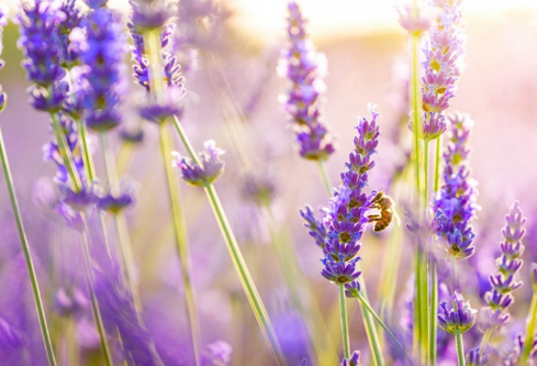 1688400401227898.png image.png