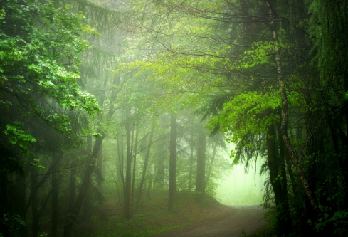 1688400733340325.png image.png