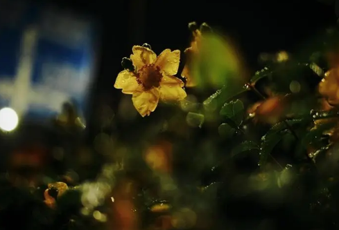 1688401064249874.png image.png