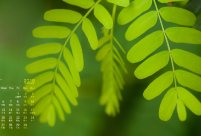 ​关于说说情侣爱情浪漫短句 唯美浪漫甜蜜幸福句子