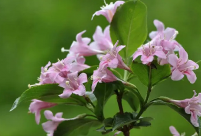 ​关于形容爱情不靠谱的句子136句（精选）