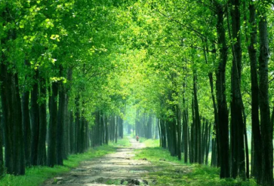 ​关于迎接新的爱情的唯美句子精选130条（精选）