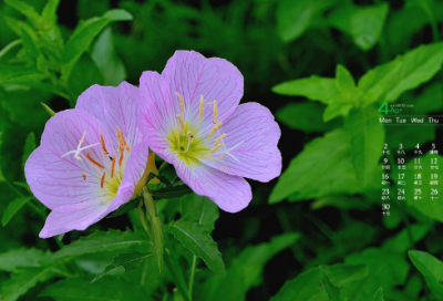 ​圣诞节送情人的浪漫爱情祝福语大全经典（精选）