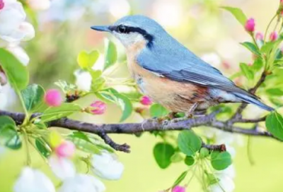 ​关于跨年爱情文案范例 过年的爱情文案(精选164句)