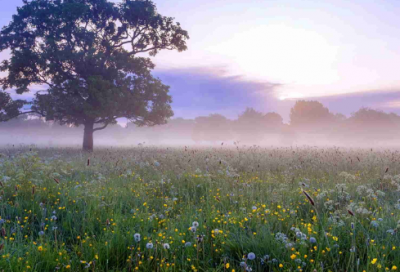 ​关于羡慕别人的爱情的短句146句（全网精选）