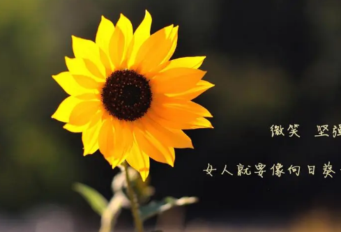 1690081503302863.png image.png