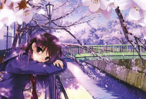 1690083500434801.png image.png